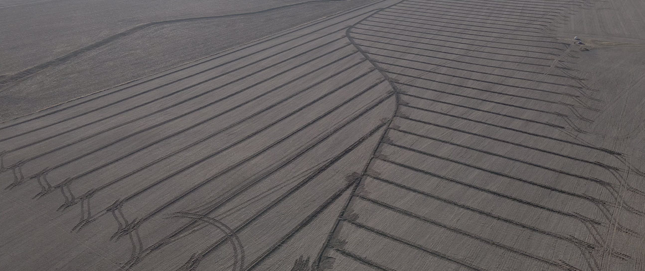 2021-Trends2