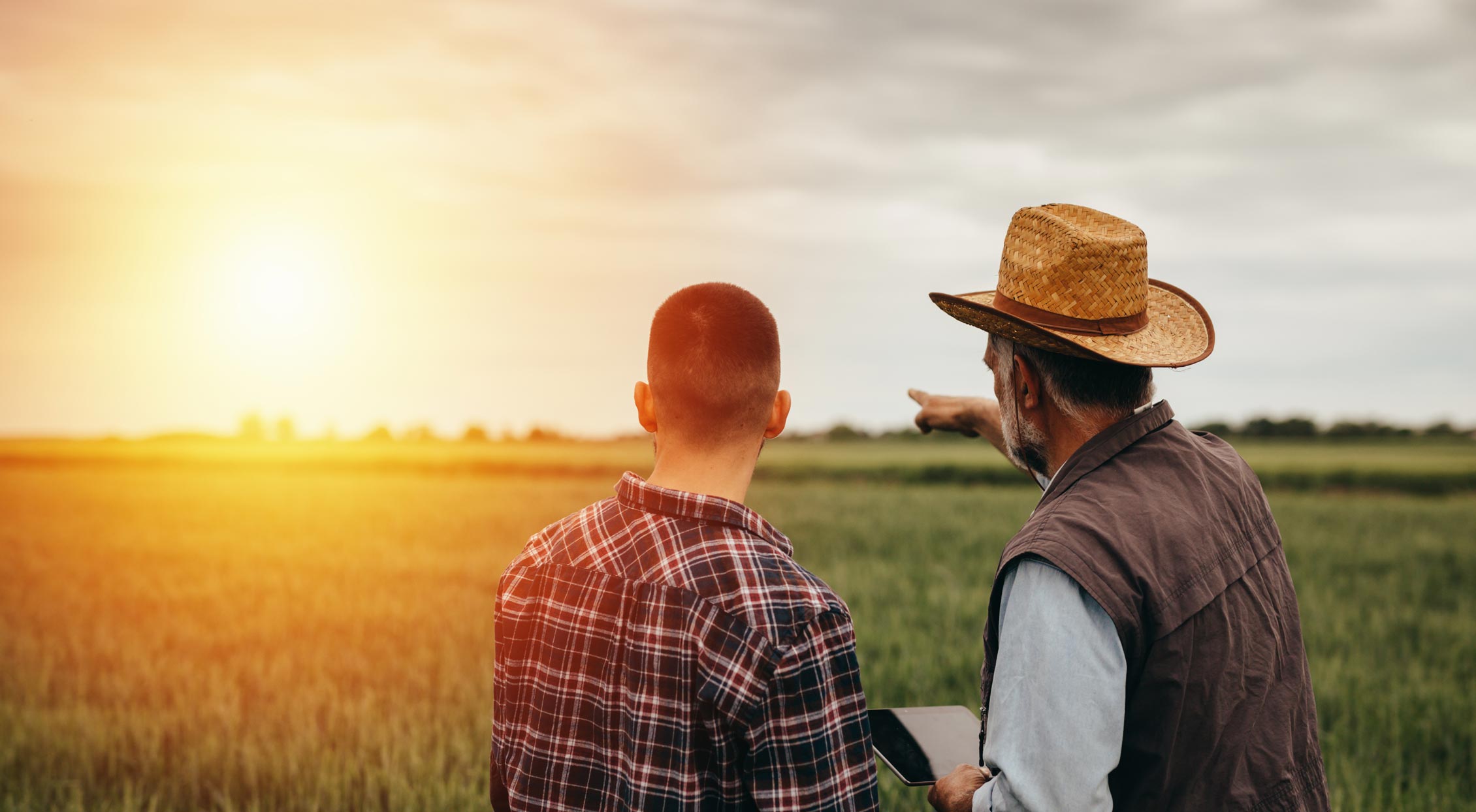 2 men surveying field