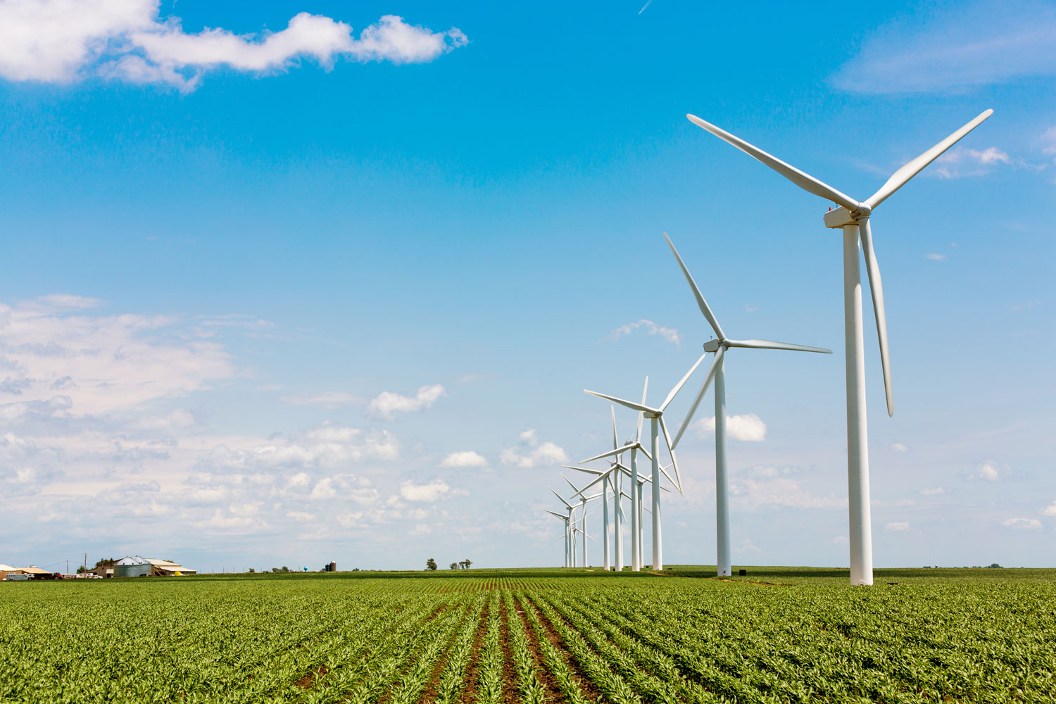 Windmills in field