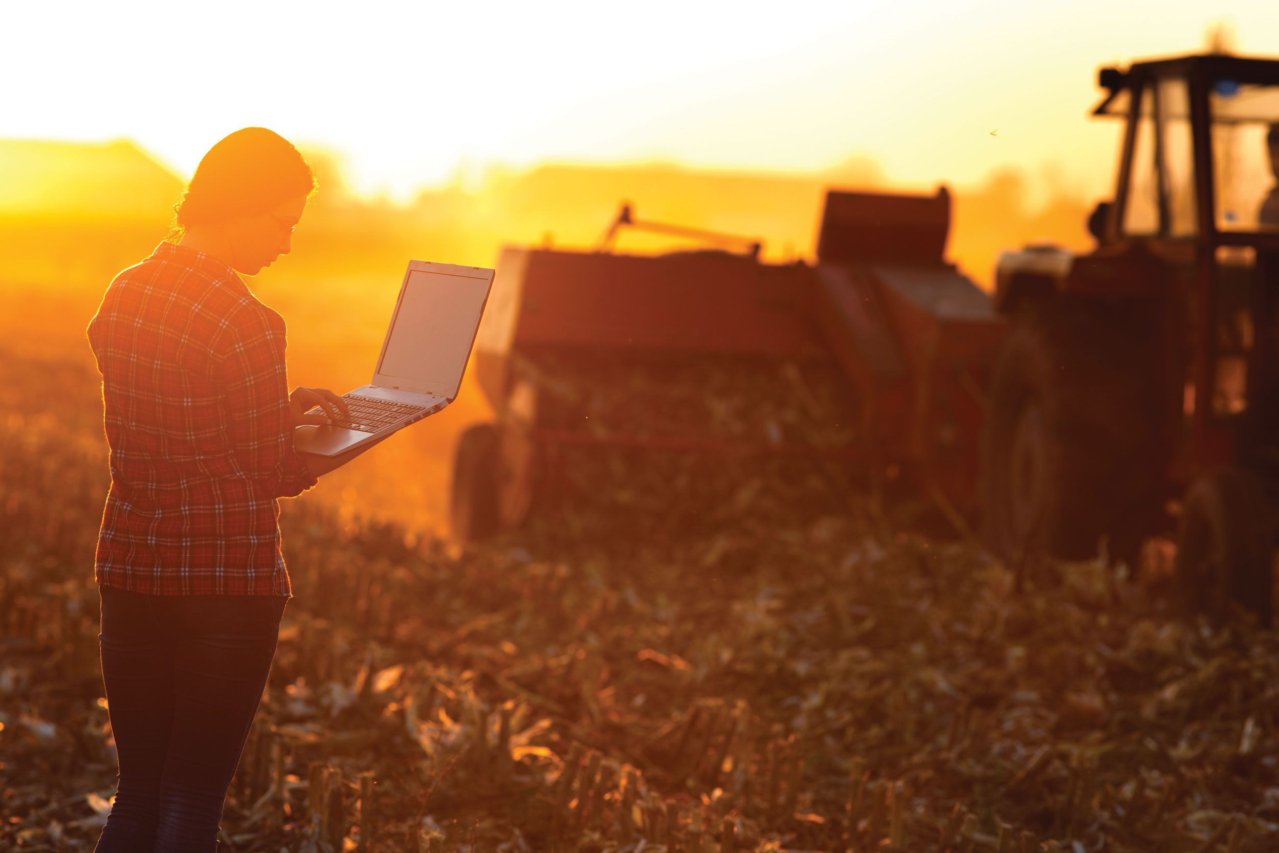 Woman in field with laptop