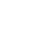 Made in USA icon