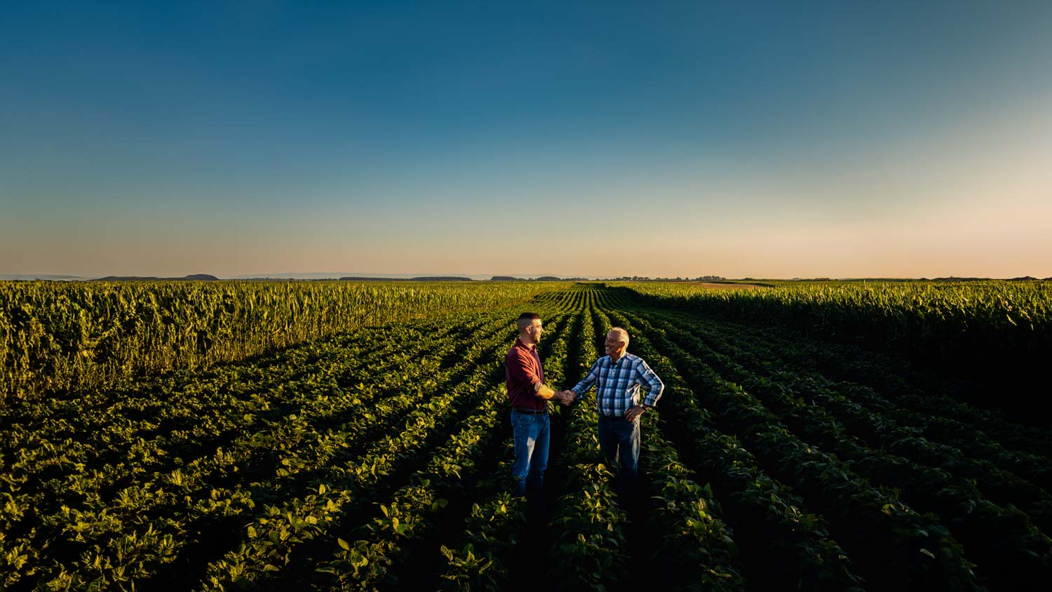 two farmers shaking hands in field