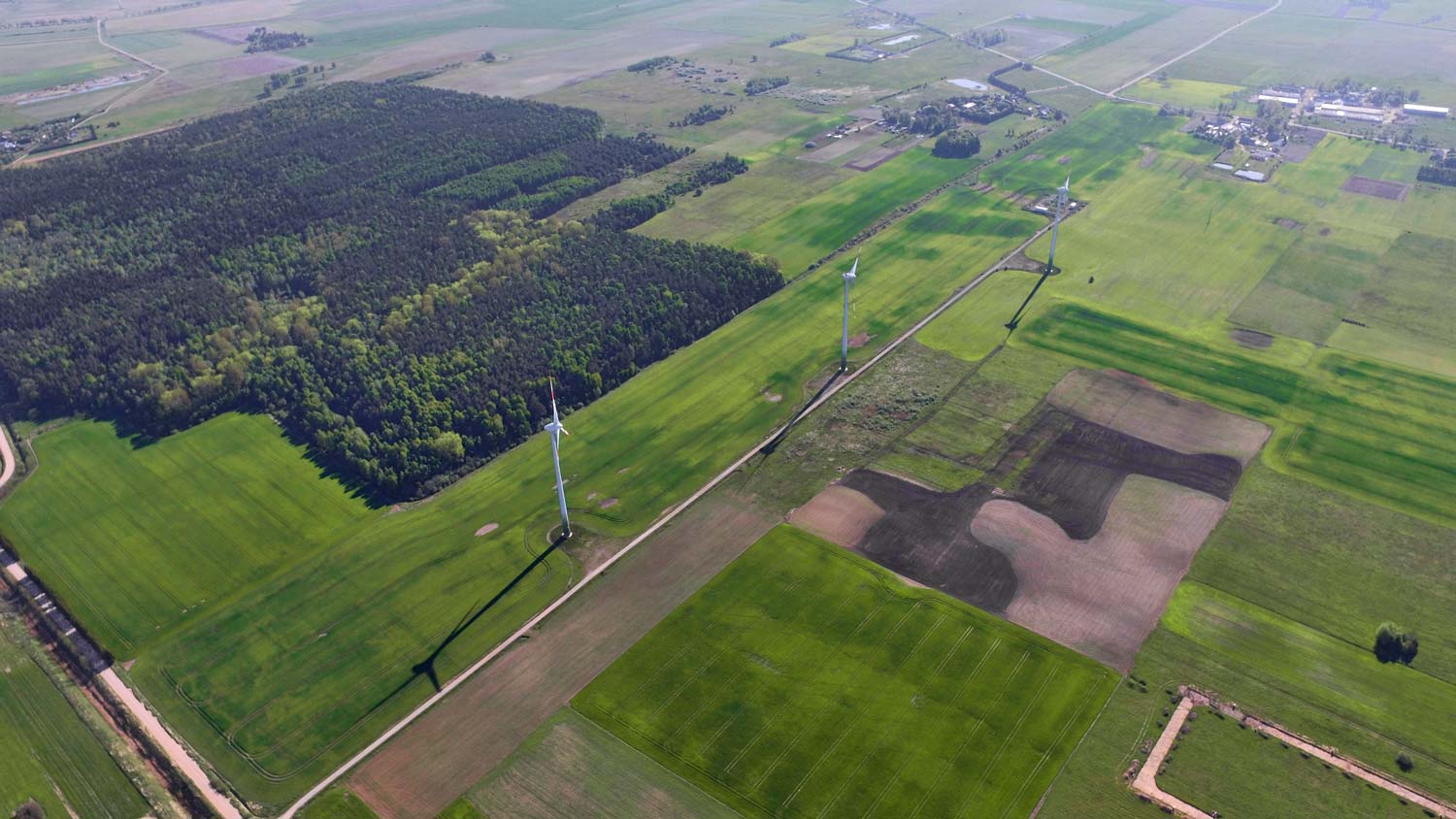 Windmills in field